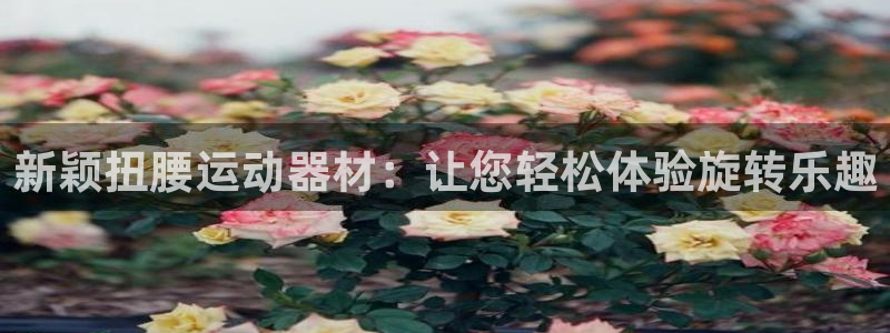 南宫大舞台官网下载联系电话：新颖扭腰运动器材：让您轻松体验旋