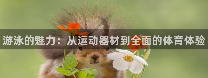 南宫大舞台官网下载官方客服电话：游泳的魅力：从运动器材到全面