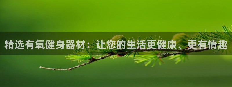 南宫大舞台官网下载是干嘛的公司：精选有氧健身器材：让您的生活