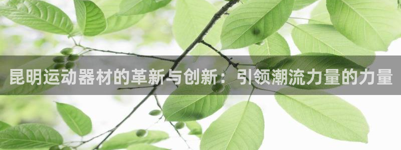 南宫大舞台官方正版app集团简介：昆明运动器材的革新与创新：